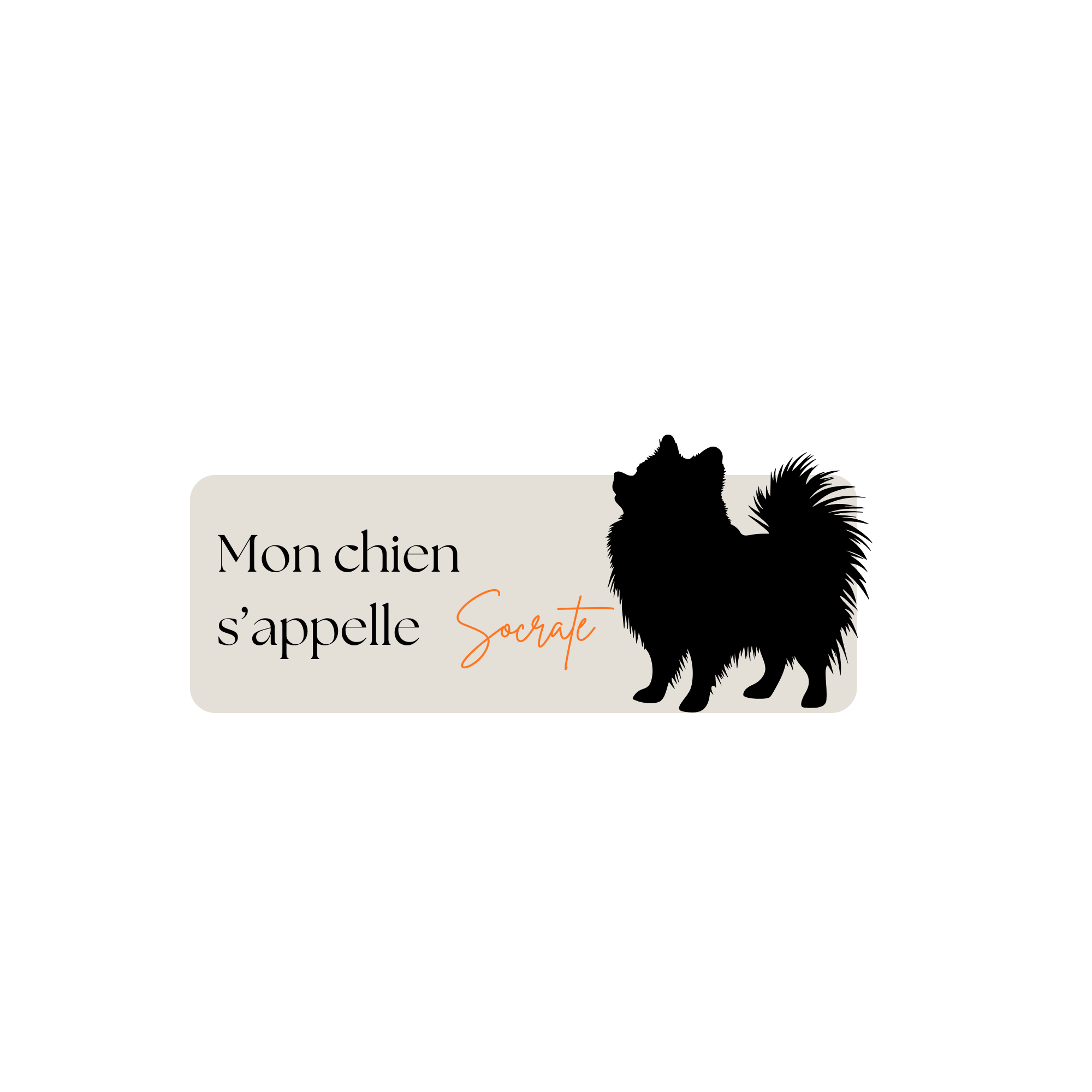 Mon chien s'appelle Socrate